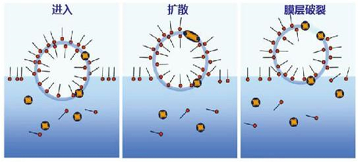 (圖:南輝消泡劑消泡原理)